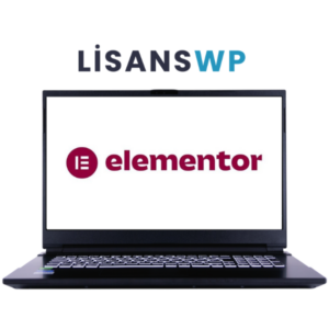 elementor pro lisans